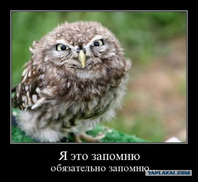 Бойся меня