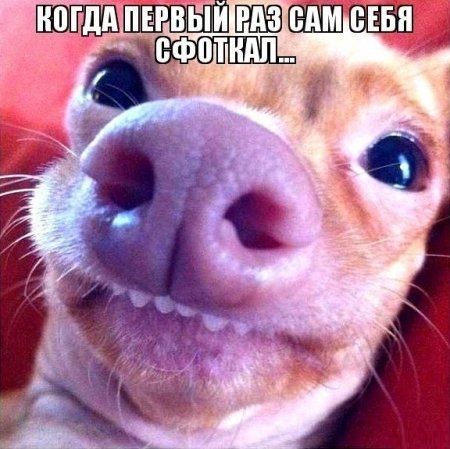 Смешные картинки