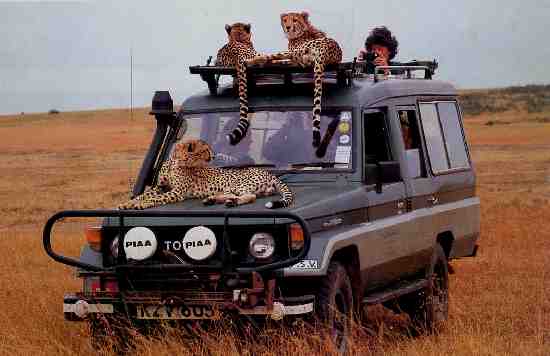 Выхожу с работы, а там...