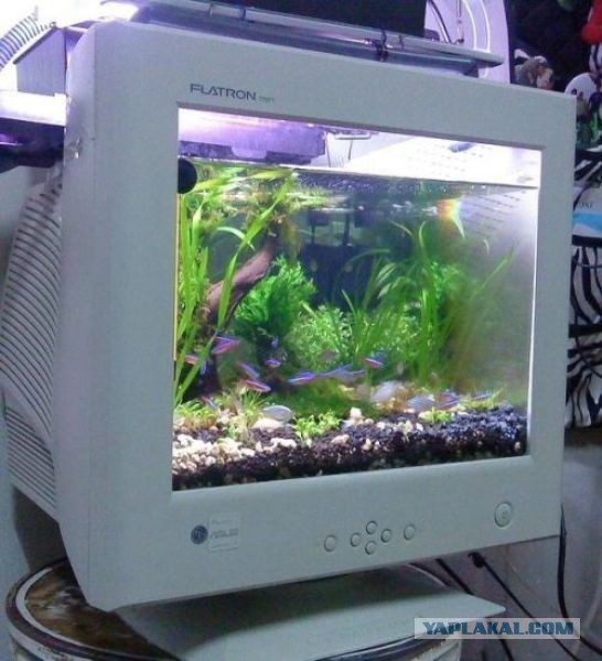 Картинки