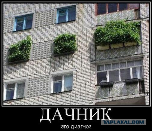 Когда вы плюсуeтe тему в платине