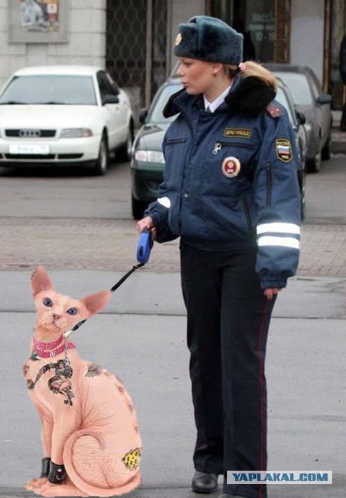 Такие сотрудники ДПС вызывают только улыбку )))
