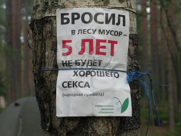 Объявления, анонсы из сети.