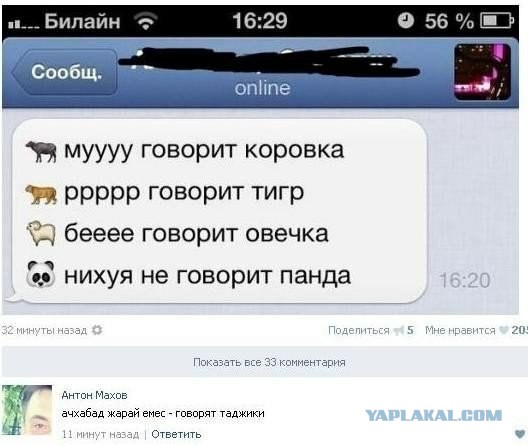 Смешные комментарии 18+ (15 фото)