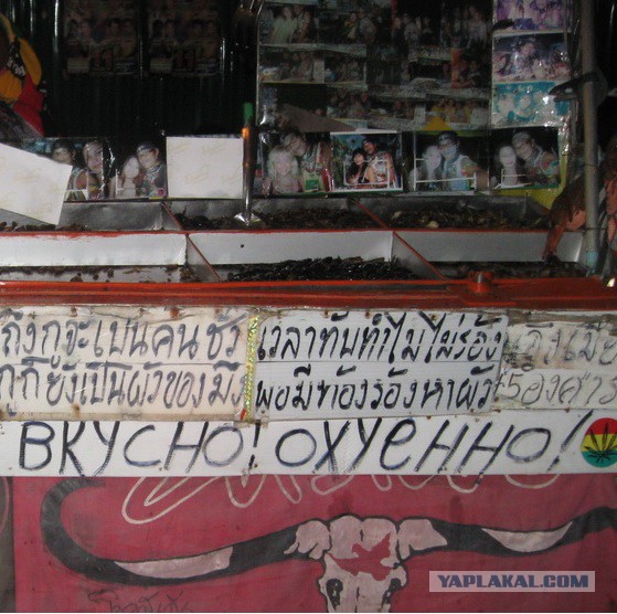 Как в Корее подделывают еду (!)