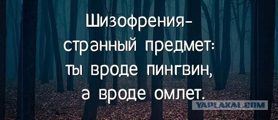 Картинки из интернетов