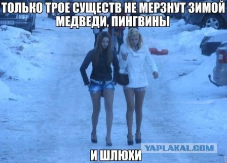 Картинки из сети для настроения