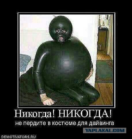 Немного картинок и юмора