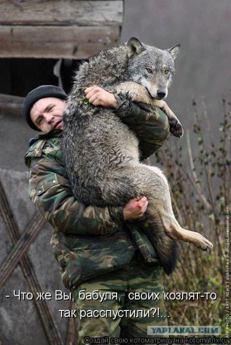Весёлое из сети