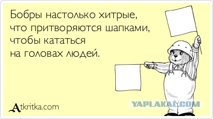 Всякая хренотень
