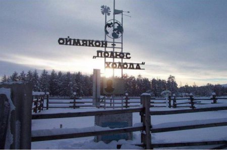 Веганы-радикалы в Петербурге