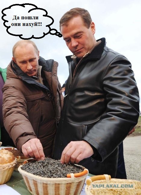 А рука так и тянется
