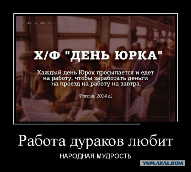 Исповедь офисного планктона