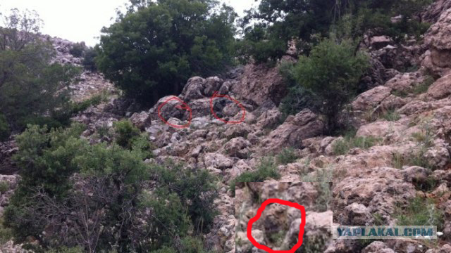 Сколько солдат на фотографии?