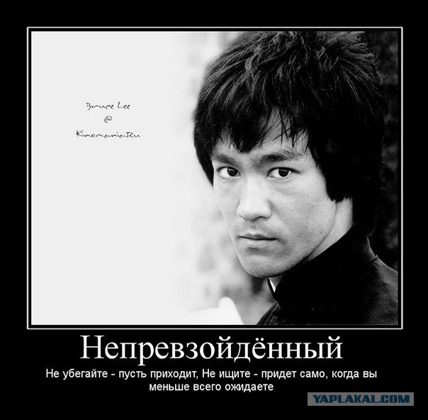 Знаменитости из “Неудержимых” тогда и сейчас