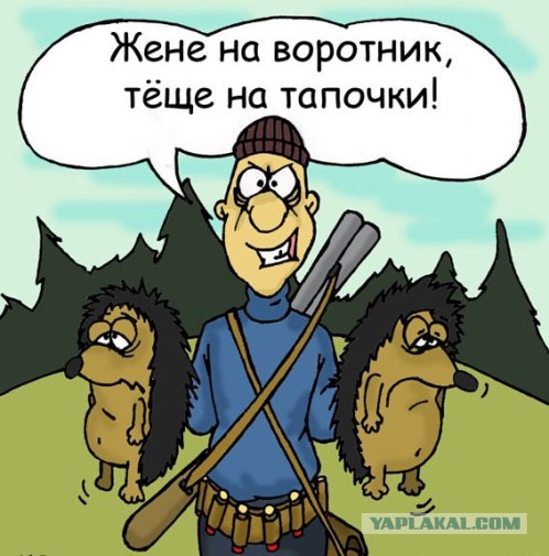 Тёща приехала с визитом