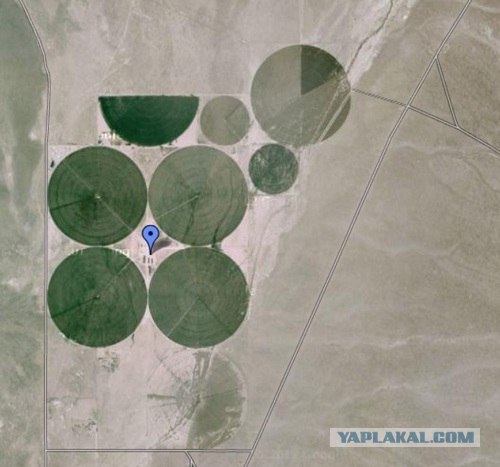 Секреты Google: 23 места, которые запрещены