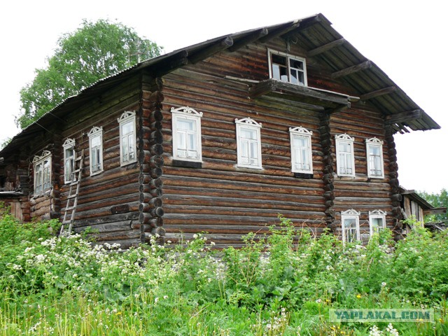 Как из камней и палок за три дня построить дом