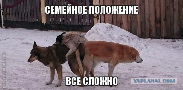Что у тебя с личной жизнью?