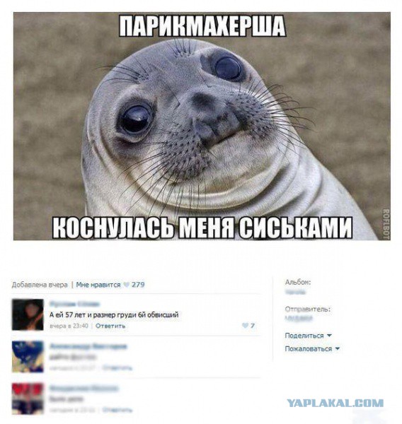 Картинки из сети