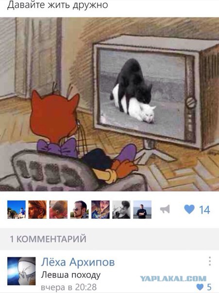 Ужасы и приколы из соцсетей 18+