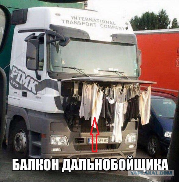 Приколы из сети