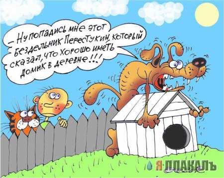 СОБАКИ и ЩЕНКИ. Все про собак!