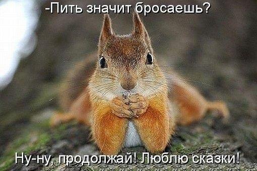 Всяко - разно...картинки