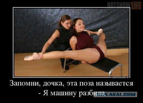 Забавные картинки из Сети