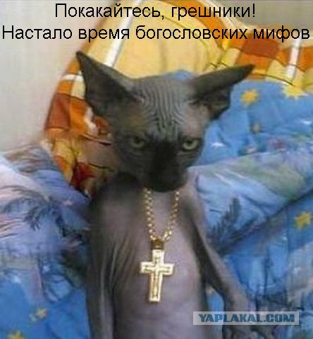 Кожаное зло
