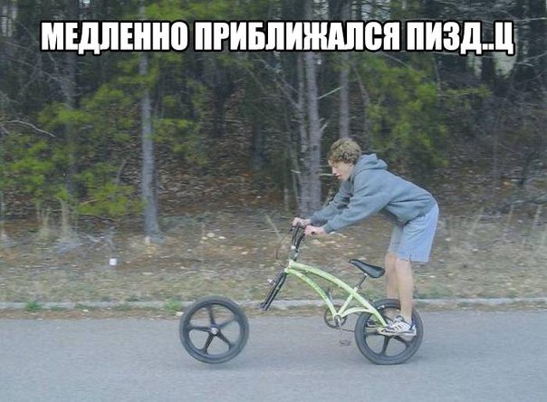 Пучок смешных картинок