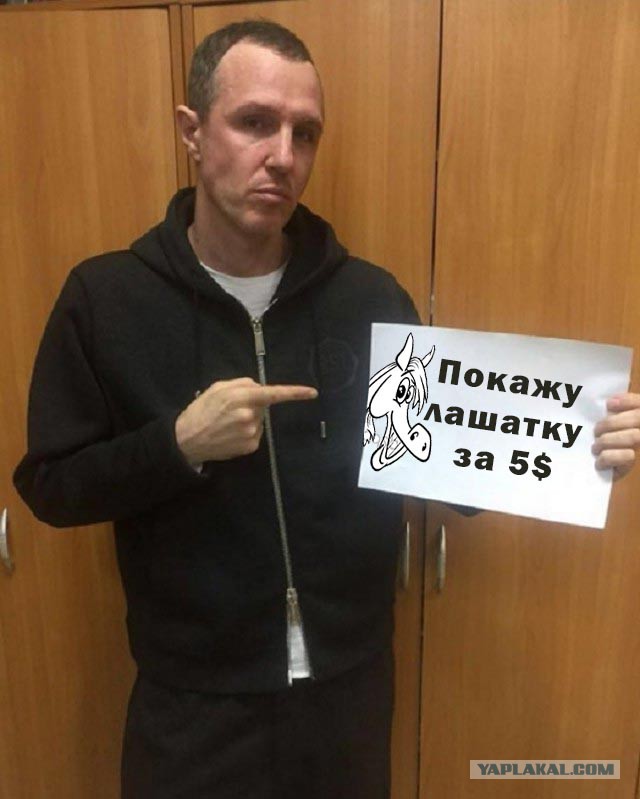 Интернет-пользователи иронично «затроллили» флешмоб звезд шоу-бизнеса