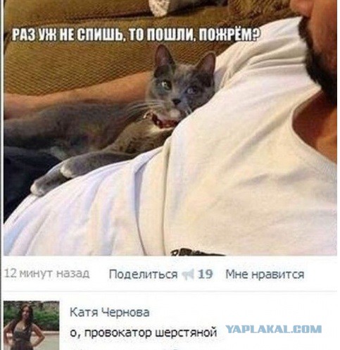 Смешные комментарии из социальных сетей