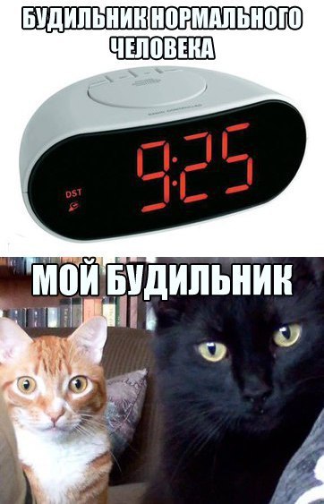 Мохнатые беспредельщики