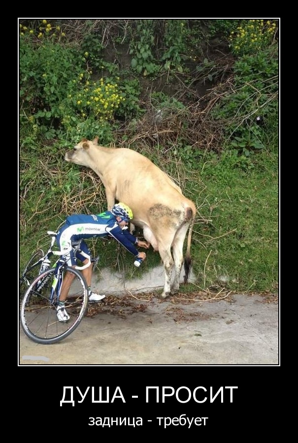 Субботняя подборочка картинок