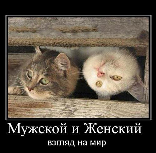 Впрягусь ка я за женщин