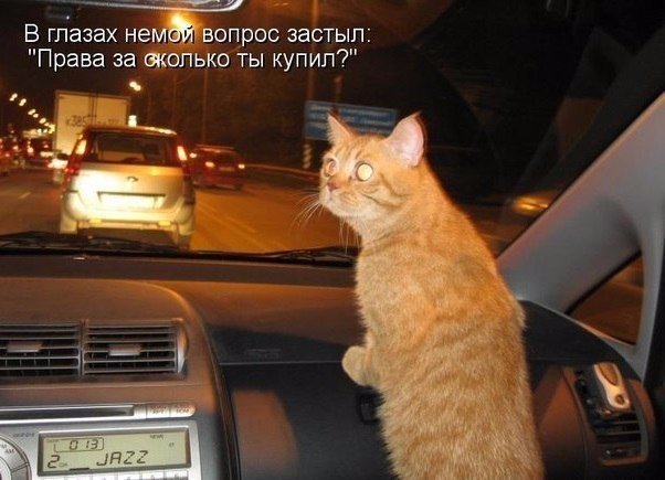 Для Поднятия Настроения 11