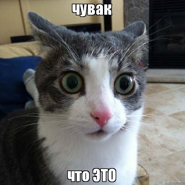 Я бы взял не раздумывая