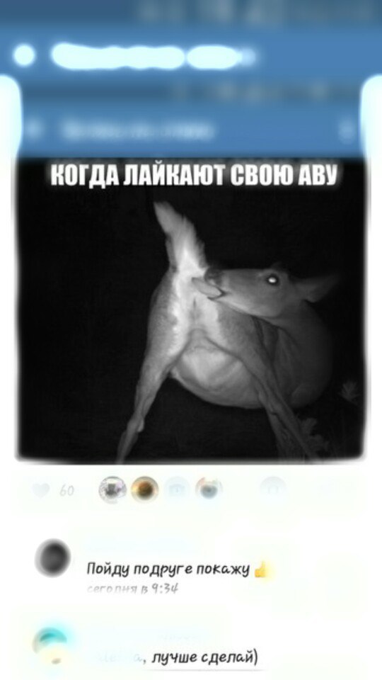 Ужасы и приколы из соцсетей 18+