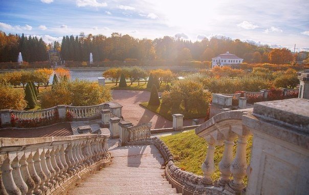 Порция картинок