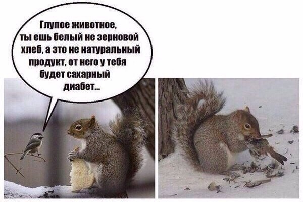 Приколюшки