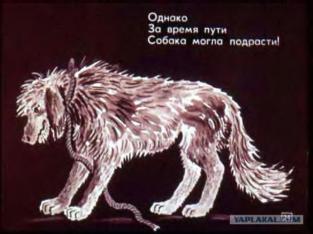 Ожидание и жестокая реальность