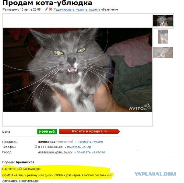 Подборка интересных и веселых картинок
