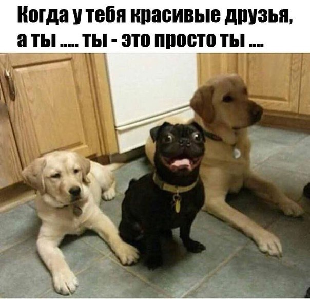 25 порций юмора не для всех