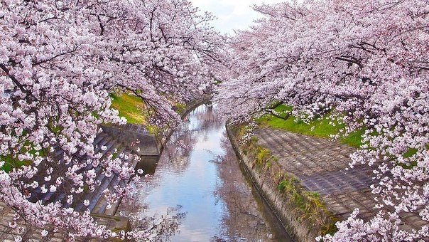 Моменты, запечатлённые на фото и просто позитив 5
