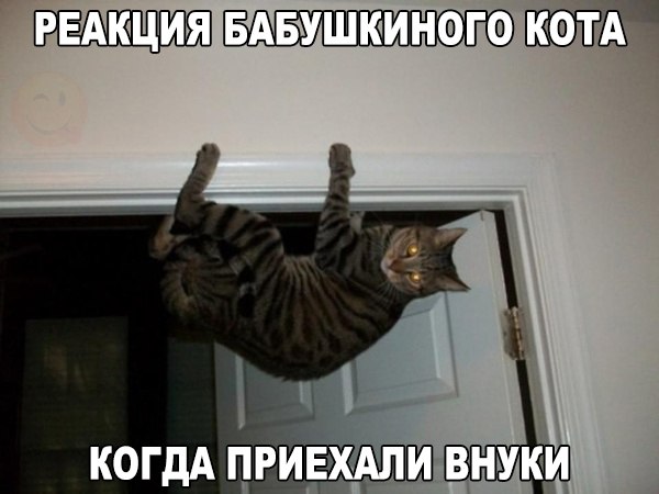 Всякие разные картинки