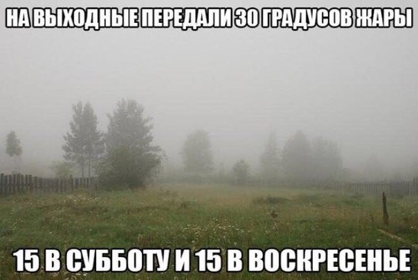 Подборка интересных и веселых картинок
