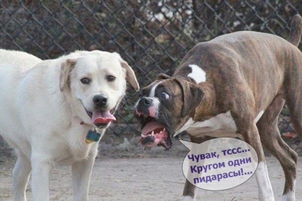 Немного деграданса - 8