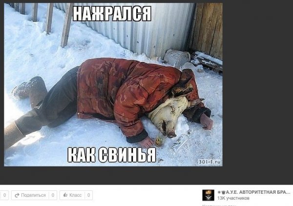 Деграклассники - 7