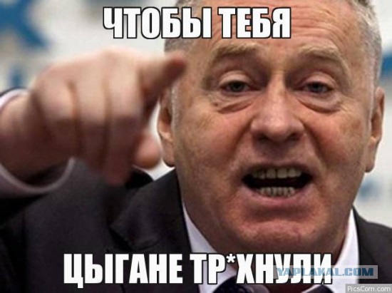 Племянницу Рогозина назначили директором Сочинского национального парка
